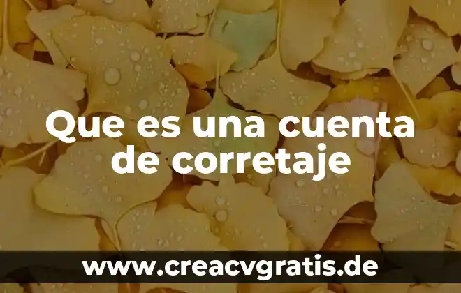 Que es una relevancia del proyecto 5 Que es una cuenta de corretaje