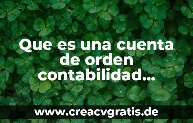 Qué es un programa gubernamental significa 4 Que es una cuenta de orden contabilidad gubernamental