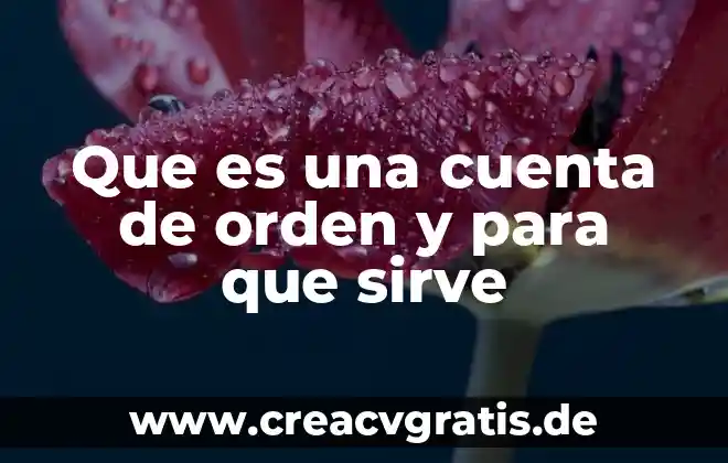 Qué es dominio y para qué sirve 7 Que es una cuenta de orden y para que sirve