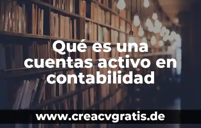 Qué es un catálogo de cuentas y sus tipos 7 Qué es una cuentas activo en contabilidad