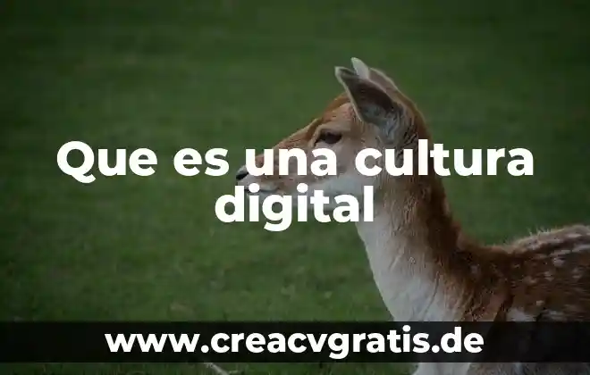Que es señal digital y analoga 8 Que es una cultura digital
