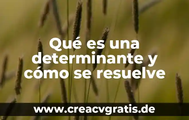 Zavala que es 6 Qué es una determinante y cómo se resuelve