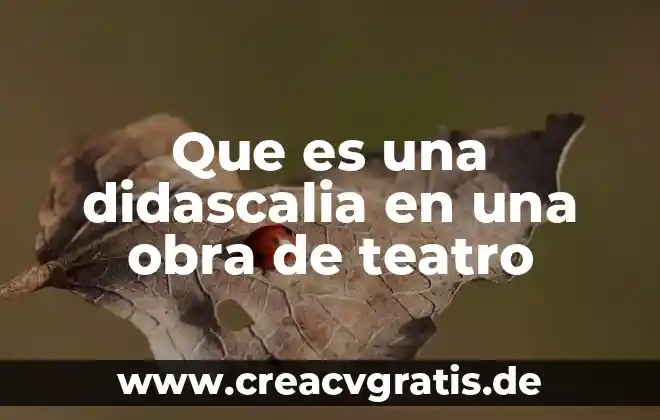 Que es el contexto.que significa la obra 7 Que es una didascalia en una obra de teatro