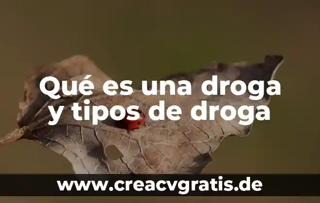 Qué es una auditoria y tipos 3 Qué es una droga y tipos de droga