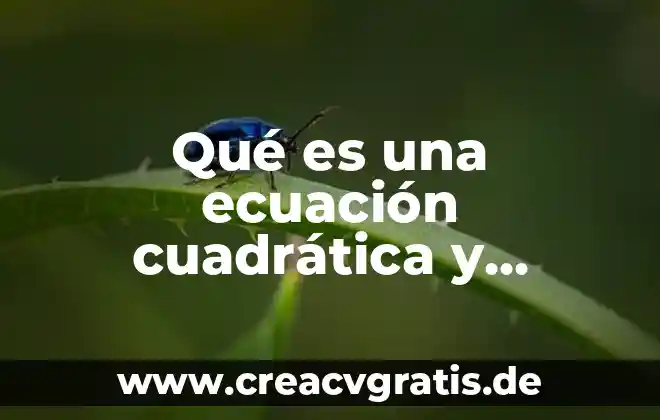 Que es la asignacion cuadratica distribucion de planta 8 Qué es una ecuación cuadrática y método de solución