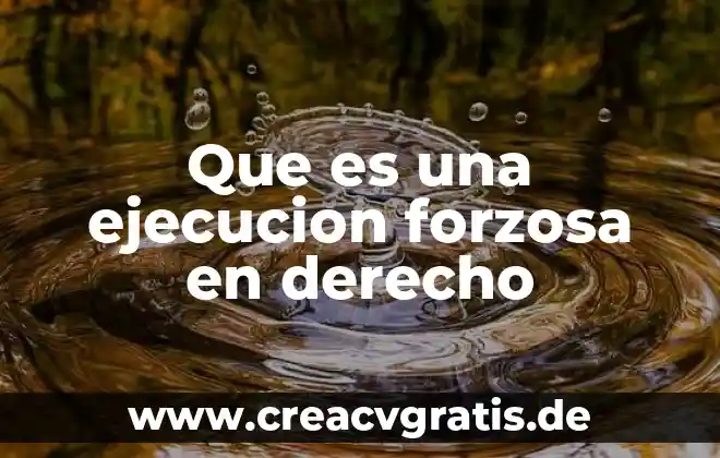 Que es la interferencias de datos 3 Que es una ejecucion forzosa en derecho