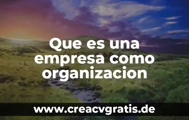 Qué es significa las organización cam 3 Que es una empresa como organizacion
