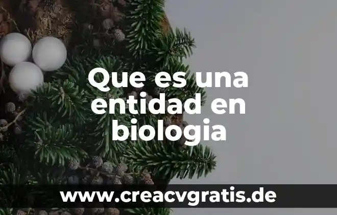 Qué es fisiológica en biología 8 Que es una entidad en biologia