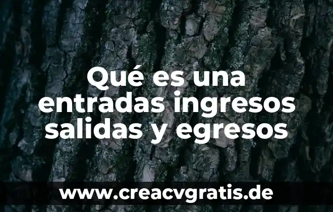 Que es un libro de ingresos y egresos 6 Qué es una entradas ingresos salidas y egresos