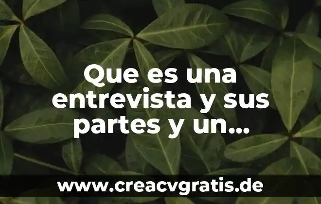 Respiratorio significado etimológico y que es 3 Que es una entrevista y sus partes y un ejemplo