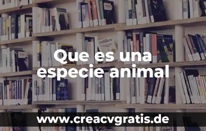 Que es el animal babosa 3 Que es una especie animal