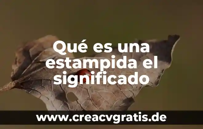Qué es artrología significado 3 Qué es una estampida el significado