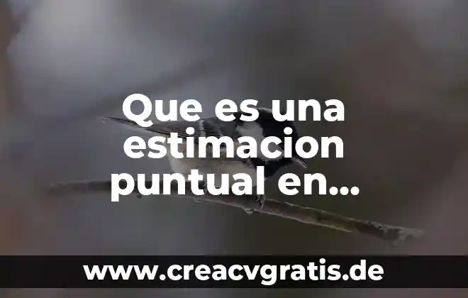 Qué es varianza en estadística y ejemplos 3 Que es una estimacion puntual en estadistica