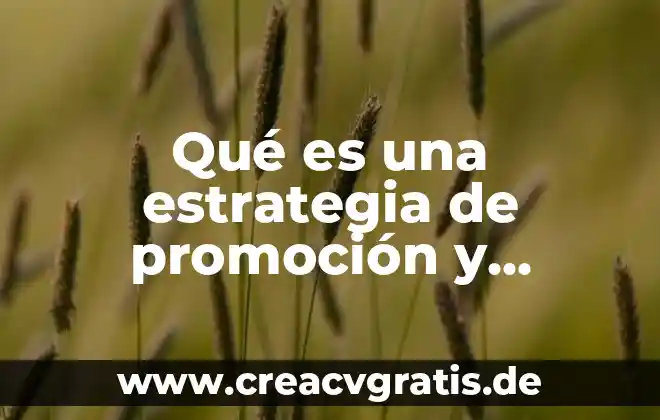Que es la publicidad en un juicio concepto 5 Qué es una estrategia de promoción y publicidad
