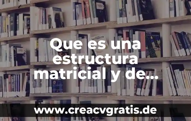 Que es la addministracioiin de proyectos 6 Que es una estructura matricial y de proyectos