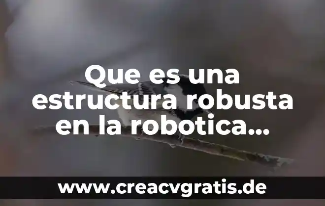 Que es la estructura para marx 5 Que es una estructura robusta en la robotica wedo