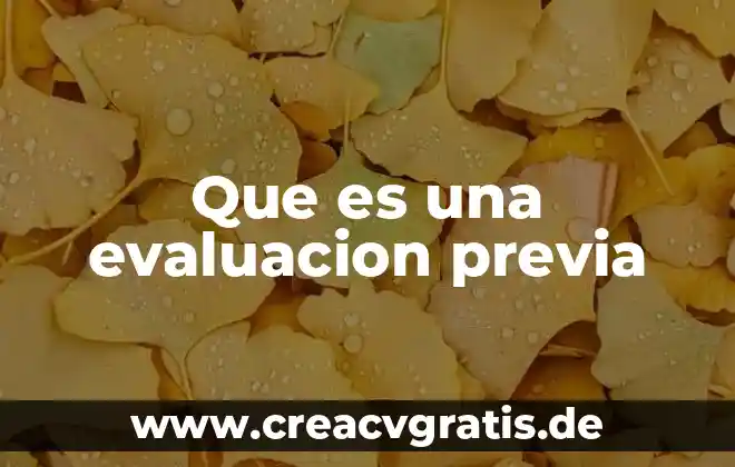 Que es la evaluacion sin metas 3 Que es una evaluacion previa