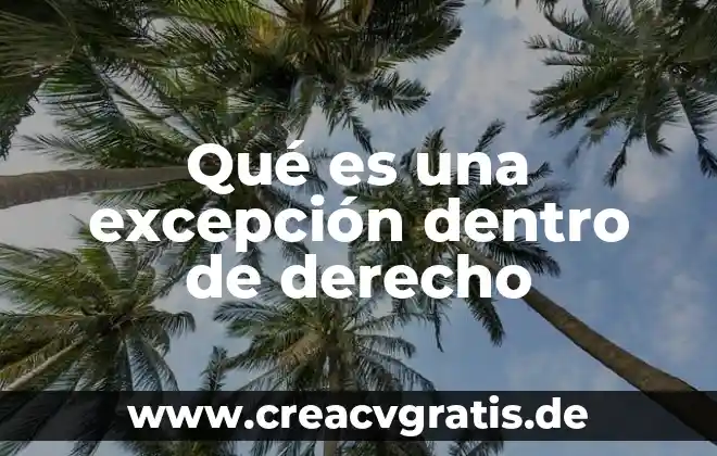 Que es el hombre en derecho 3 Qué es una excepción dentro de derecho