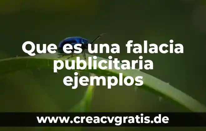 Que es nombres propios y comunes y ejemplos 5 Que es una falacia publicitaria ejemplos