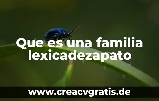 Qué es una familia mestiza 4 Que es una familia lexicadezapato