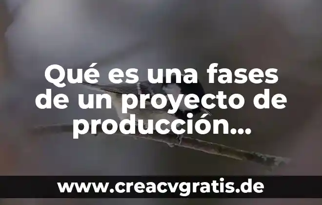 Que es un proyecto tipos y fases integran 5 Qué es una fases de un proyecto de producción artesanal