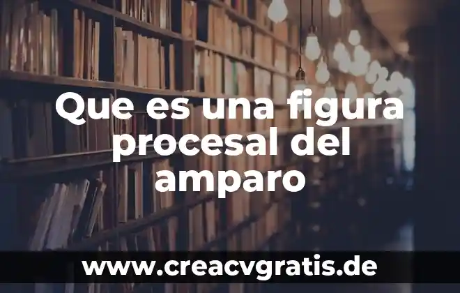 Que es una figura irregular definicion 7 Que es una figura procesal del amparo