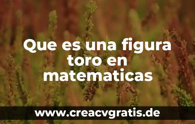 Que es una figura irregular definicion 5 Que es una figura toro en matematicas