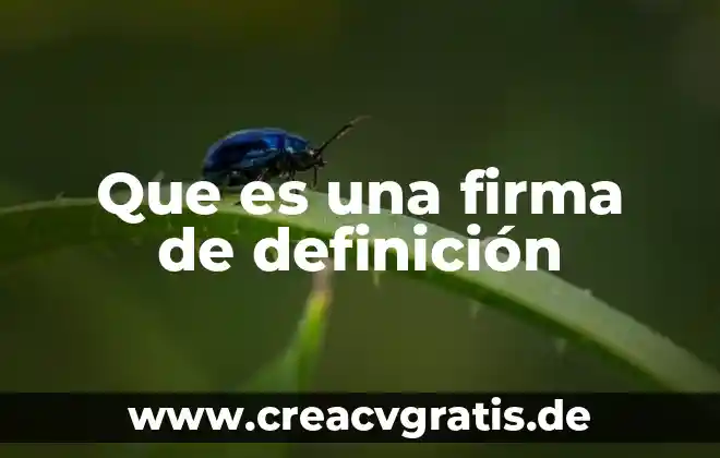 Qué es picardía definición 6 Que es una firma de definición