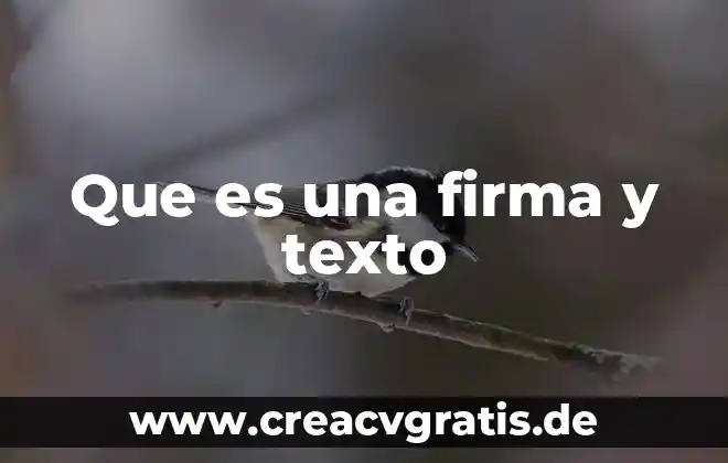 Qué es un texto referencial y apelativo 3 Que es una firma y texto