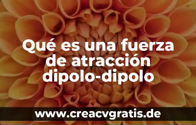 Que es ayuno de agua 8 Qué es una fuerza de atracción dipolo-dipolo