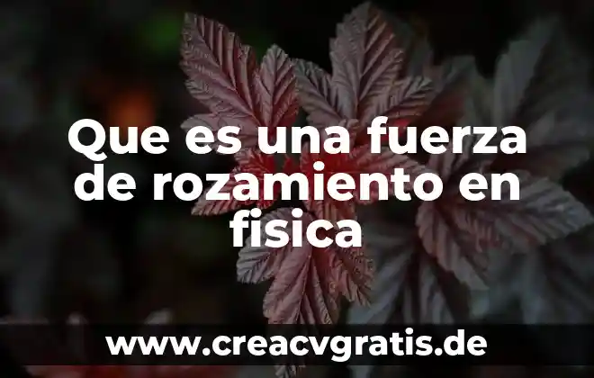 Que es la sensibilidad profunda articulos 8 Que es una fuerza de rozamiento en fisica