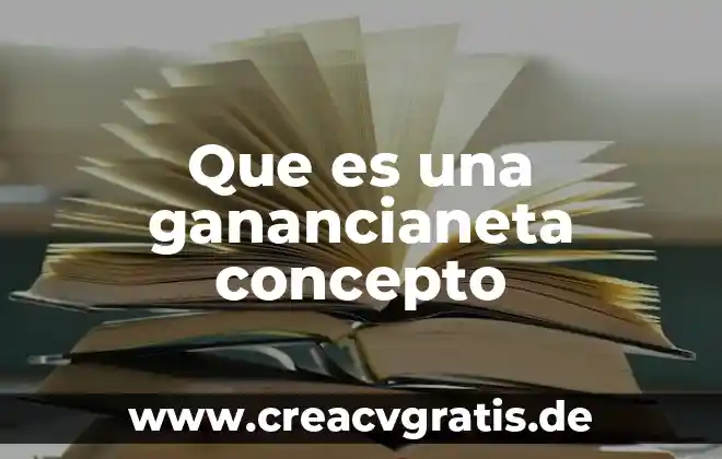 Que es polvo de agua 5 Que es una ganancianeta concepto
