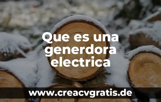 Que es un medidor de luz electrica 3 Que es una generdora electrica