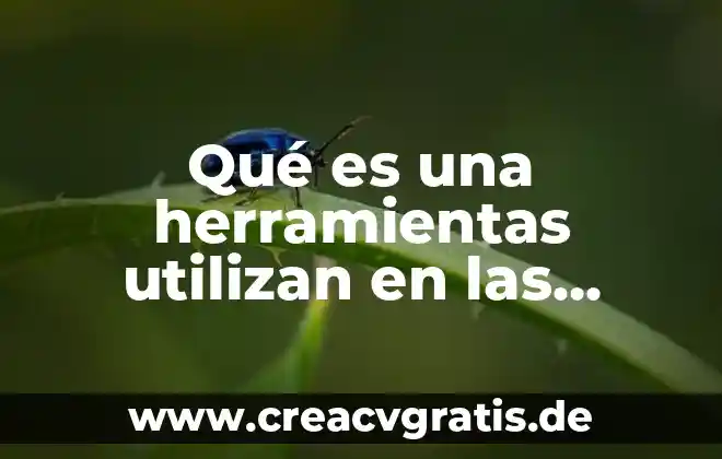 Herramientas de comunicación que es 6 Qué es una herramientas utilizan en las matemáticas