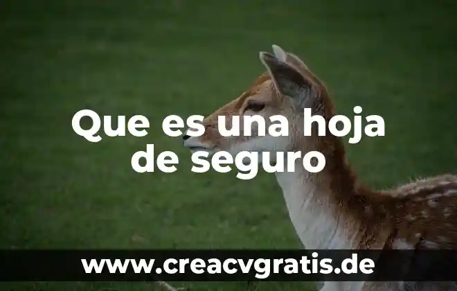 Que es el cao en el seguro social 4 Que es una hoja de seguro