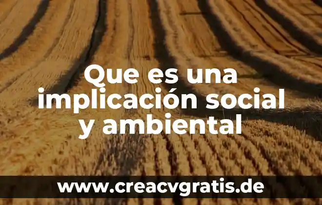 Que es la gestion social y los tipos 7 Que es una implicación social y ambiental