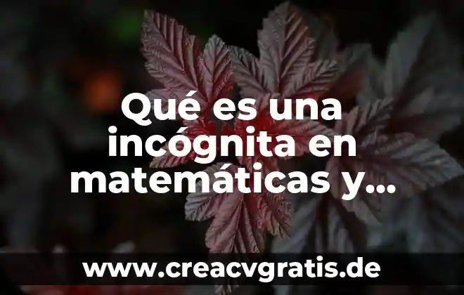 Que es valor presente neto en matemáticas financieras 4 Qué es una incógnita en matemáticas y ejemplos