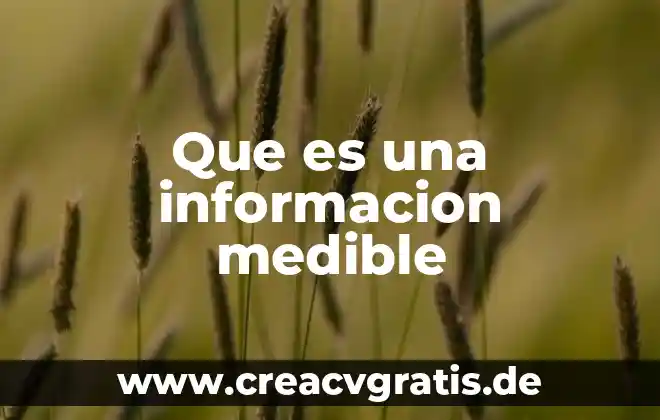 Qué es teoría del procesamiento de la información 7 Que es una informacion medible