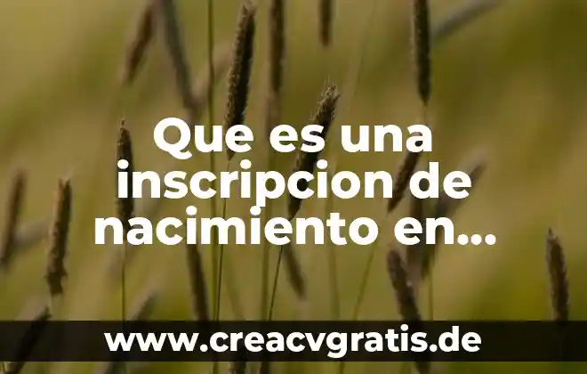 Que es el acta de nacimiento articulo de dugh 3 Que es una inscripcion de nacimiento en mexico