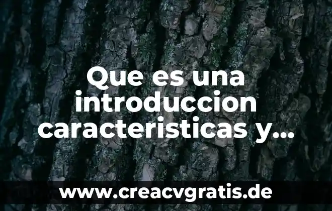 Que es el debate caracteristicas y tipos 5 Que es una introduccion caracteristicas y funciones