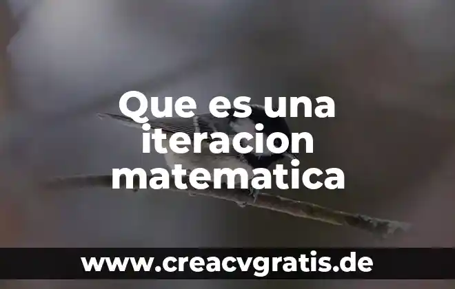Que es monto y capital en matematica financiera 3 Que es una iteracion matematica
