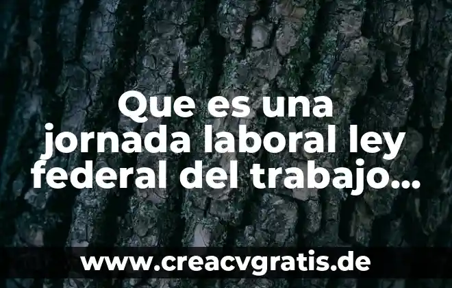 Que es rentabilidad y la salud laboral 7 Que es una jornada laboral ley federal del trabajo 2019