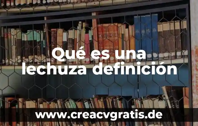Qué es ecosistema definición 3 Qué es una lechuza definición