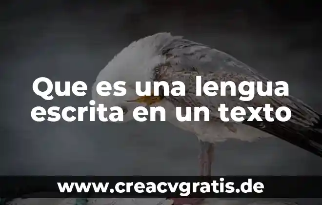 Que es una firma y texto 3 Que es una lengua escrita en un texto