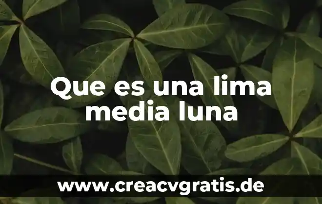 Que es exhibicionismo en salud 6 Que es una lima media luna