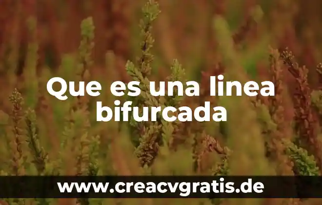 Enciclopedia en linea que es 7 Que es una linea bifurcada