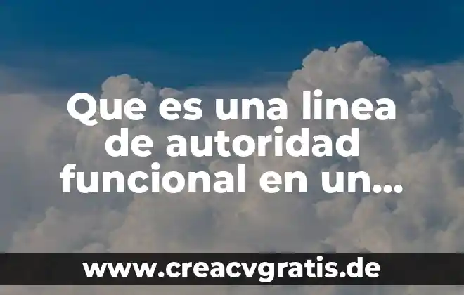 Qué es la división funcional matricial 8 Que es una linea de autoridad funcional en un organigrama