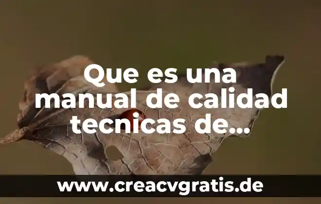 Que es mensaje en organizacion de la informacion 6 Que es una manual de calidad tecnicas de organizacion