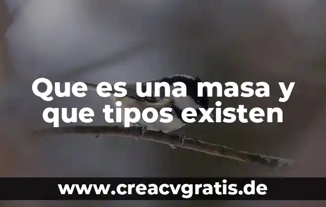 Que es la nube y los tipos que existen 4 Que es una masa y que tipos existen