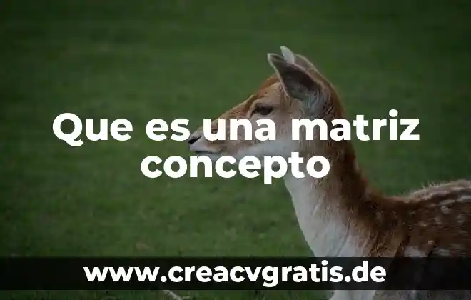 El concepto de que es una segunda lengua con autoridad 6 Que es una matriz concepto
